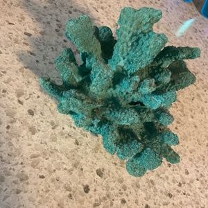 Coral decor